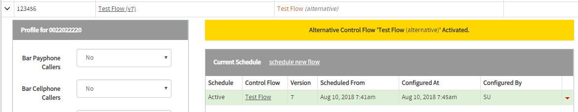 activated alternative control flows warning small